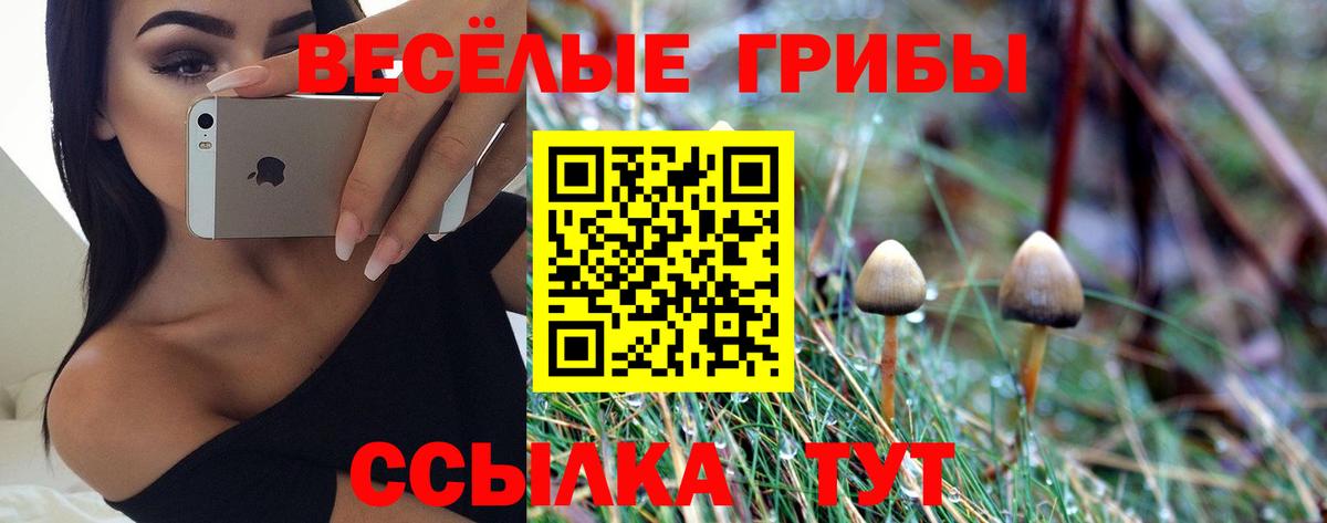 Псилоцибиновые грибы Magic Shrooms Егорьевск