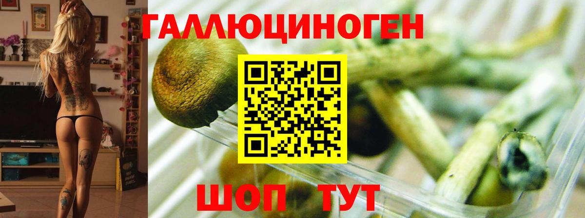 Егорьевск  Галлюциногенные грибы мухоморы  Вход с VPN 